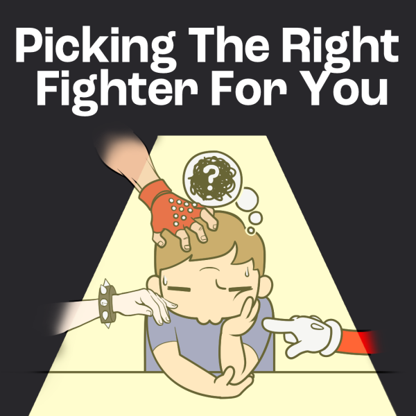 Picking the Right Fighter for You